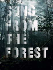 Song from the Forest