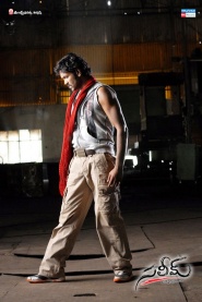Saleem