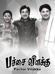 Pachai Vilakku