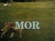 Mor