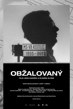 Obzalovaný