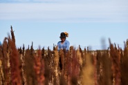 The Mother Grain