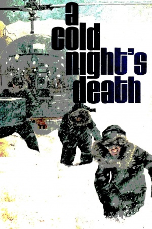 A Cold Night's Death