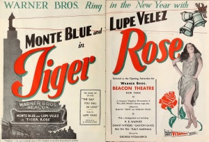 Tiger Rose