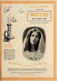 Moths