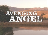 Avenging Angel