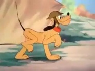 Private Pluto