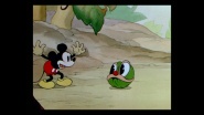 Mickey's Garden