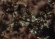 Aubade