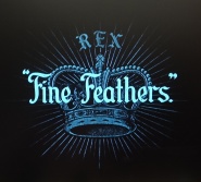 Fine Feathers