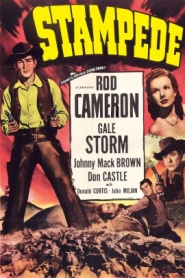 Stampede