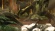 The Lost Dinosaurs of New Zealand