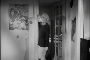 Confessions of a Psycho Cat