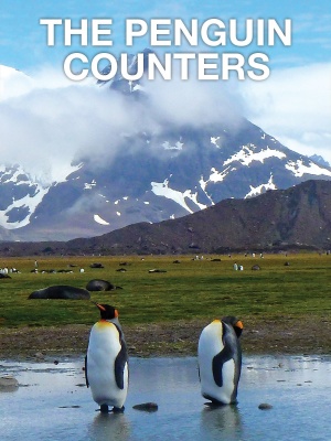 The Penguin Counters