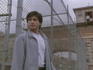 The Fence