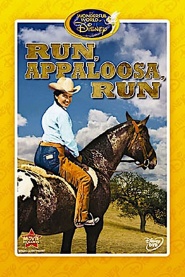Run, Appaloosa, Run