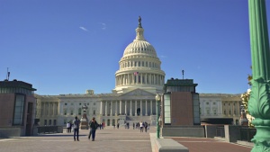 Trumping Democracy