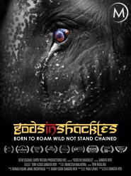 Gods in Shackles