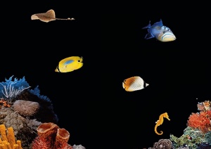 Underwater