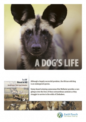 A Dog's Life
