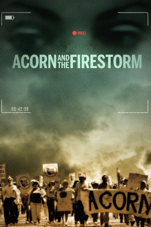 ACORN and the Firestorm