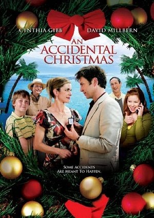 An Accidental Christmas