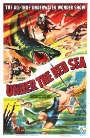 Adventures in the Red Sea