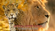 Africa's Super Seven