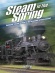 Steam in the Spring