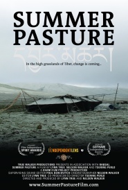 Summer Pasture