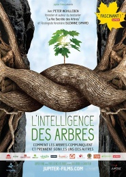 Intelligent Trees
