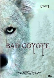 Bad Coyote