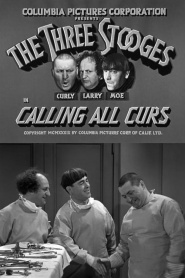 Calling All Curs