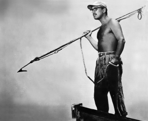 The Shark Hunters