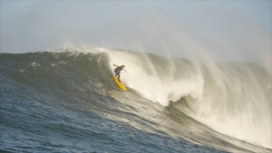 Surfer: Teen Confronts Fear