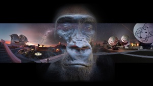 Biosphere Continuum