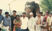 Surieyan