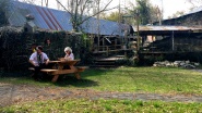 Cajun Mystery