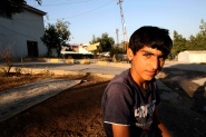 Shingal, where are you?