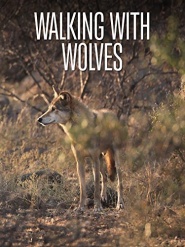 Walking with Wolves