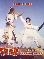 Swift Shaolin Boxer
