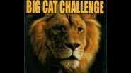 Big Cat Challenge