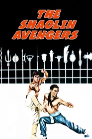 The Shaolin Avengers