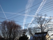 Look Up!