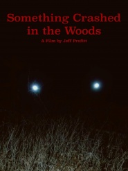 Something Crashed in the Woods