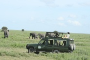 Tanzania: A Journey Within