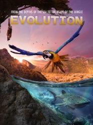 Evolution