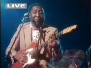 Muddy Waters Live in Concert 1976