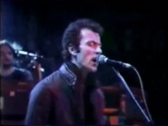 The Stranglers: Hanging Around