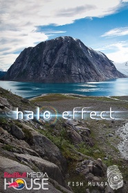 Halo Effect